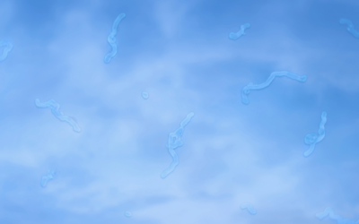 What Causes Eye Floaters & When Should You Be Concerned?